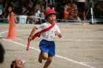 80914154.jpg