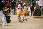 80914183.jpg