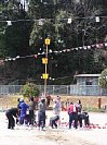 n4314213.jpg