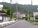 4819099.jpg