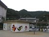 460519.jpg