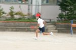 79260119.jpg