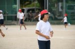 79260705.jpg
