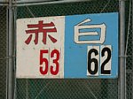 50927274.jpg