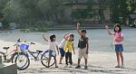 50726013.jpg