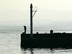 41217049.jpg