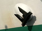 41217061.jpg