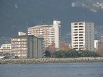 41217118.jpg