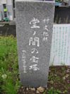 4504188.jpg