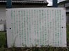 4504190.jpg