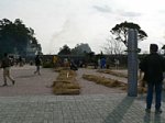 512110082.jpg