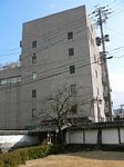 60302741.jpg