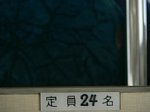 50331320.jpg