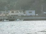 50331555.jpg