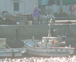 50331561.jpg
