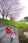 150402010.jpg