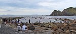 130822022.jpg