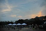 12072807.jpg