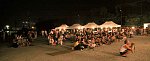 12072857.jpg