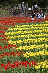 140408011.jpg