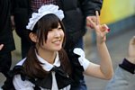 13021071.jpg