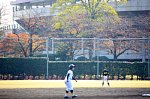 141123174.jpg