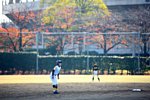 141123175.jpg