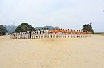 130615503.jpg
