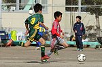 120108549.jpg
