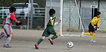 120108611.jpg