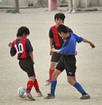 11041720.jpg