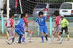 120405393.jpg