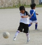 10051725.jpg