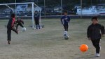101124083.jpg