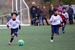 141130056.jpg