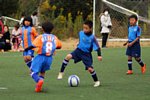141130065.jpg