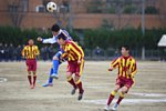 140215190.jpg
