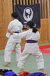 12010513.jpg