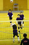 140126162.jpg