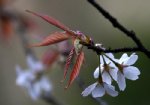 img_7016.jpg