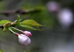 img_7020.jpg
