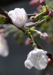 img_7049.jpg