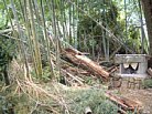 dscf0221.jpg