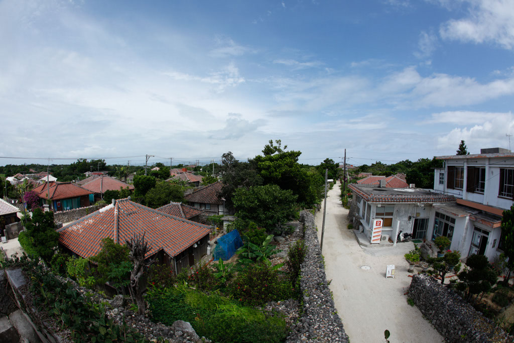 _MG_9515