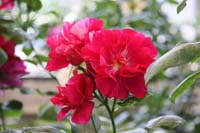 IMG_5019