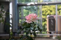 IMG_5022