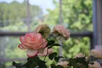IMG_5023