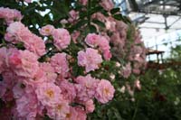 IMG_5024