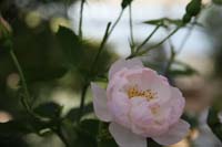 IMG_5028