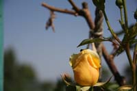 IMG_5033